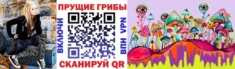 Галлюциногенные грибы Psilocybe  цена наркотик  Гулькевичи 